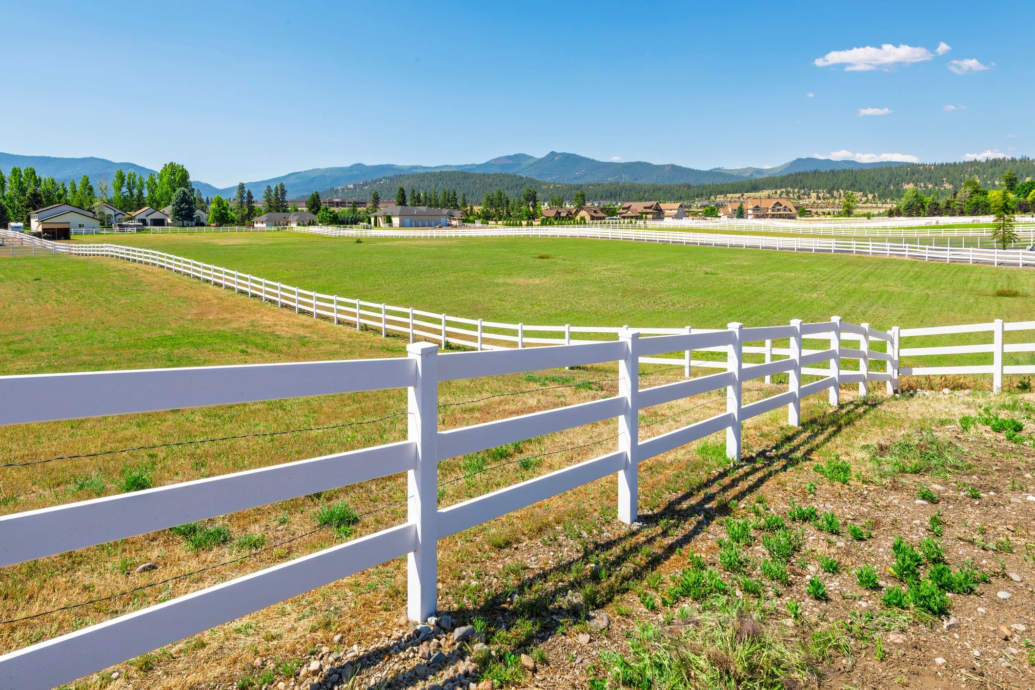 Backyard property with long runs of fence for estimating cost by linear foot