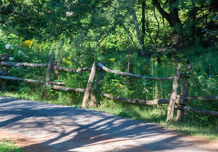 Wood fence running beside a road and trees